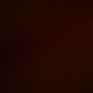 Meet your Posher, Carlos